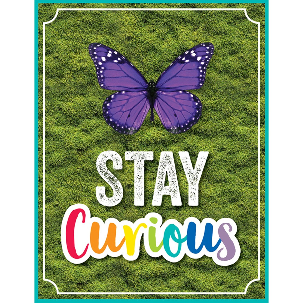 Stay Curious Poster Chart (55cmx43cm)(21.6''x17&quot;)