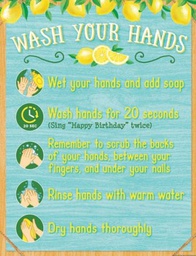 [TCR7503] LEMON ZEST WASH YOUR HANDS CHART 17''x22''(43cmx55cm)