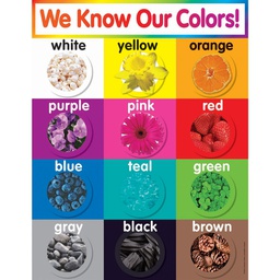[9780545196390] COLORS CHART GR PK-5 (22.4''x16.9'')(57cmx43cm)
