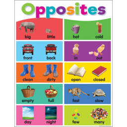 [TCR7496] *Colorful Opposites Chart 17&quot; x 22&quot; (43cm x 56 cm)