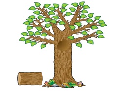 [TCR4405] Seasonal Tree Bulletin Board Display Set (64pcs)(17&quot;x23&quot;)(43cmx58.4cm)(5'-152.4cm)