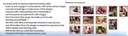 Early Literacy Comprehension Learning Cards PreK-2 (ELL)  (28cmx21.5cm)(11''x8.5'')(12 cards)(ENGLISH/SPANISH)