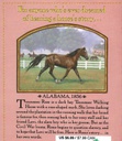 Horse Diaries #09: Tennessee Rose (8-12yrs)