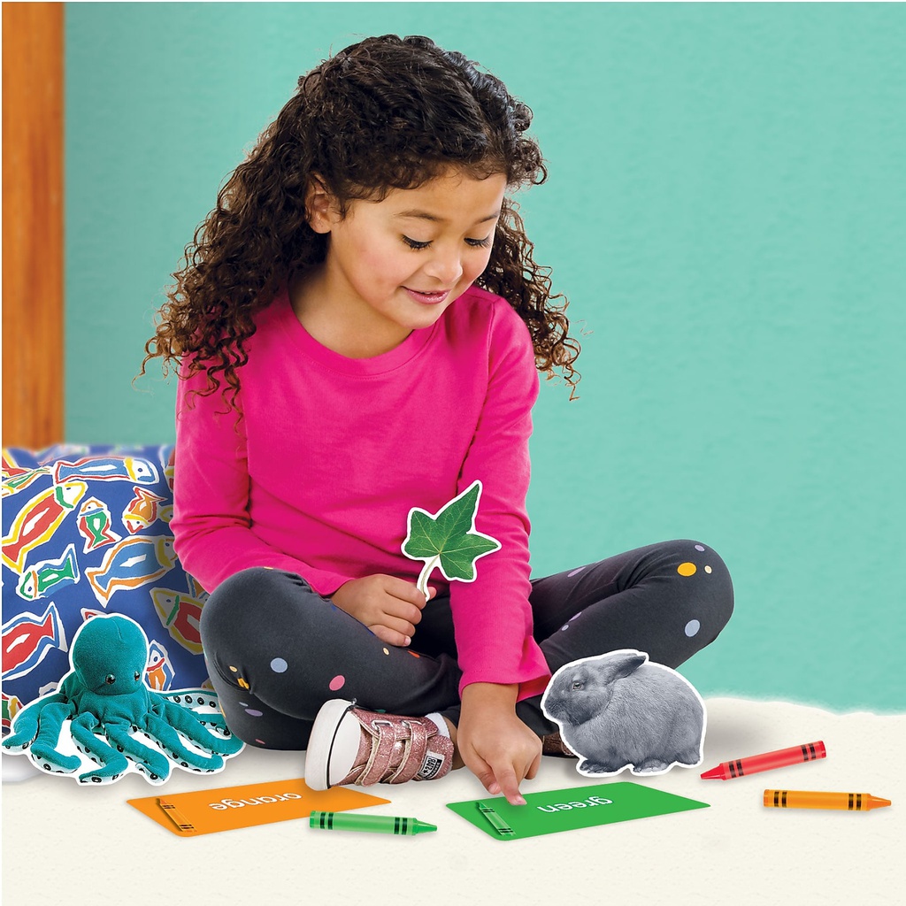Colors All Around Learning Set