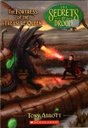 SECRETS OF DROON #23: THE FORTRESS OF THE TREASURE QUEEN (7-10yrs)