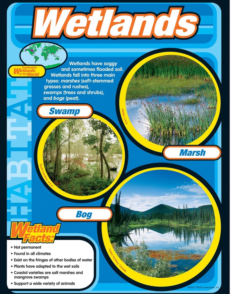Wetlands Chart (55cmx43cm)(22''x17'')