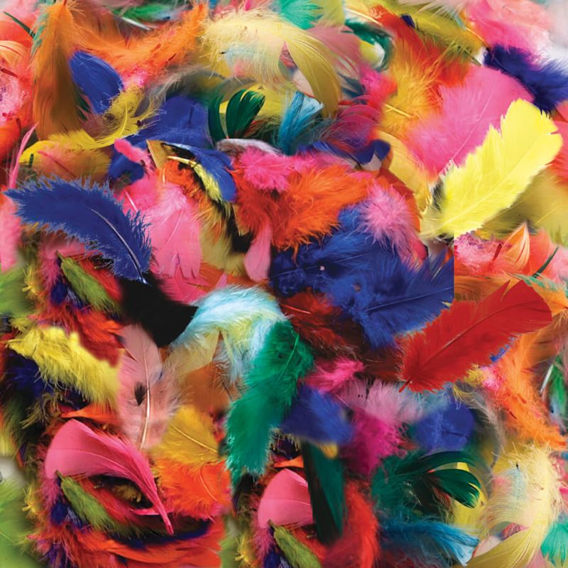 CREATIVITY STREET TURKEY PLUMAGE ASST SIZES HOT COLORS ASST (14 g)