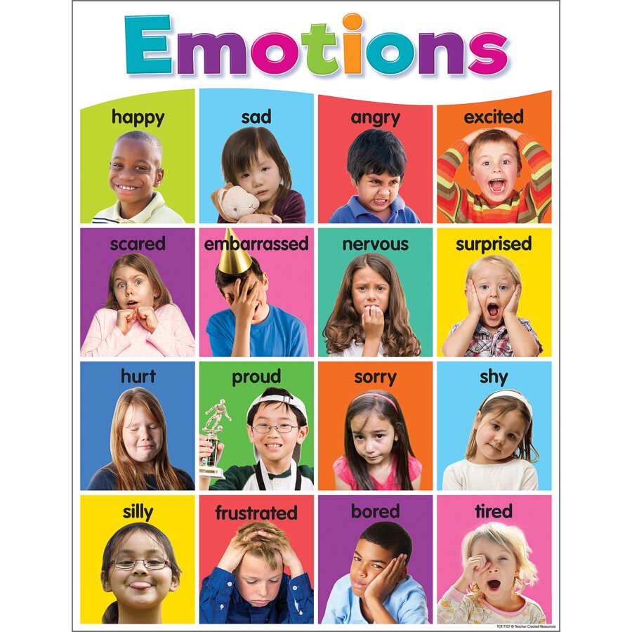 *Colorful Emotions Chart 17&quot; x 22&quot; (43cm x 56 cm)