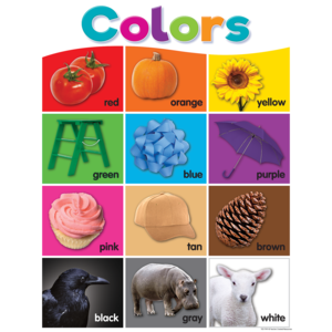*Colorful Colors Chart 17&quot; x 22&quot; (43cm x 56 cm)
