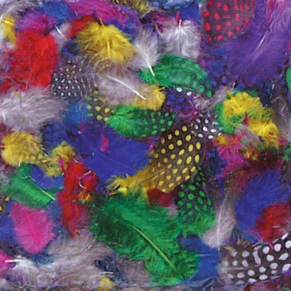 FEATHERS, GUINEA ASST COLORS (640CT)