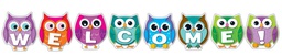 [CDX110192] Colorful Owl Welcome! Bulletin Board Set  (8 pcs)