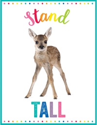 [CDX114270] Stand Tall Chart (55cmx43cm)(21.6''x17&quot;)
