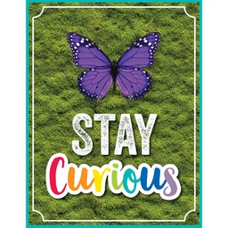 [CDX114274] Stay Curious Poster Chart (55cmx43cm)(21.6''x17&quot;)