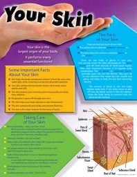 [CDX414044] Your Skin Chartlet (55cmx43cm)(21.6''x17'')