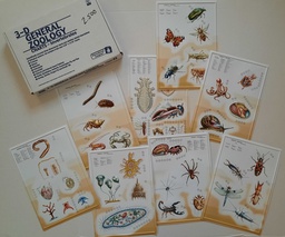 [EIX5222] Zoology Charts-Invertebrates 3-D Ages:9+ Gr:4+