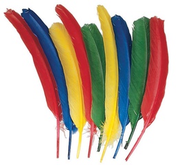 [PAC4505] FEATHERS DUCK QUILL ASST (14g)(3'' to 5'')(7.6cmx12.7cm)