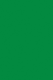 [PX0059122] TISSUE SPECTRA BLEEDING (20''X30'')(50.8cmx76.2cm) APPLE GREEN (24CT)
