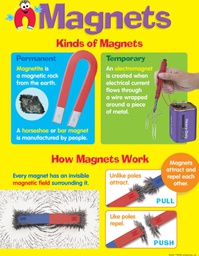 [TX38055] Magnets Kinds of Magnet Chart (55cmx 43cm)(22''x17'')