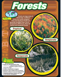 [TX38148] Forests Chart (55cmx 43cm)(22''x17'')