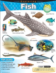 [TX38183] Exploring Fish Chart ( 55cmx 43cm)(22''x17'')