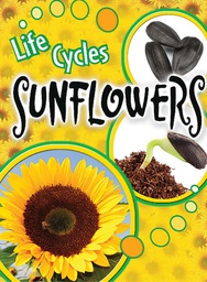 [TCR905461] Life Cycles: Sunflowers (NF) (Gr: 1-4)