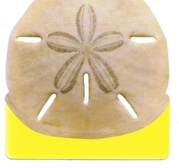 [TX10580] Mini Sand Dollar Mini Accents (3'' =7.5cm) (36 pcs)