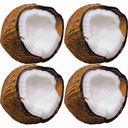 [TX10585] Monkey Mischief™ Coconuts Mini Accent (3''(7.5cm)(36 pcs)