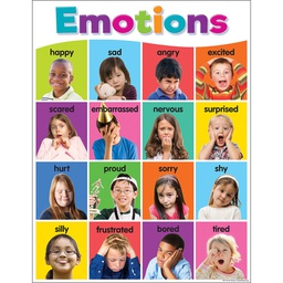 [TCR7107] *Colorful Emotions Chart 17&quot; x 22&quot; (43cm x 56 cm)