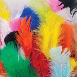 [PAC4502] FEATHERS PLUMAGE BRIGHT HUES (1 OZ)