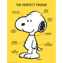 [EU837039] PEANUTS THE PERFECT FRIEND CHART (17&quot; x 22&quot;)  (43cm x 56cm)