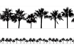 [TCR6774] Coco Palms Black &amp; White Straight Border Trim (12pcs)(3''x35'')(7.6cmx89cm)